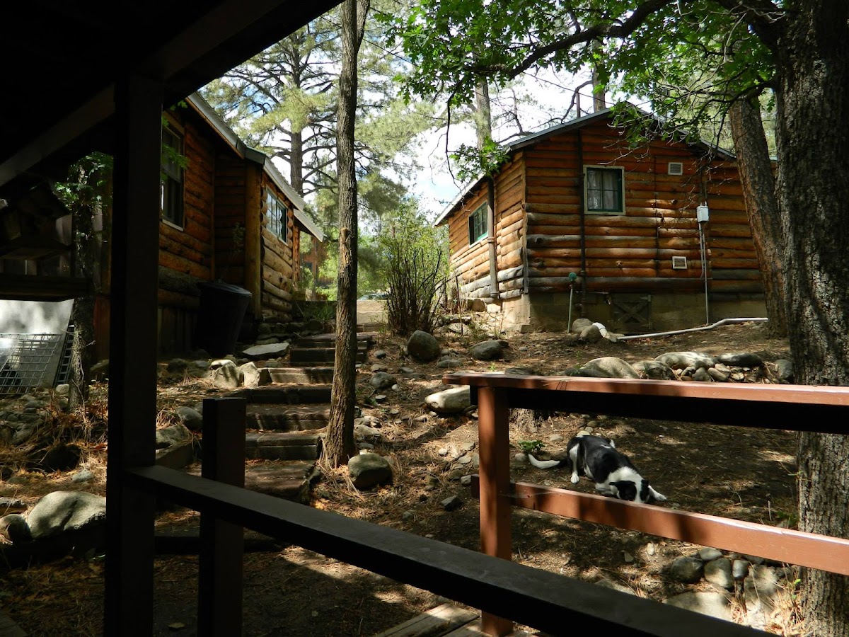 Casey's Midtown Cabins